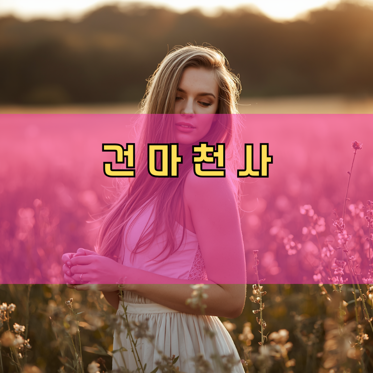 초이동 경기 지역 안내