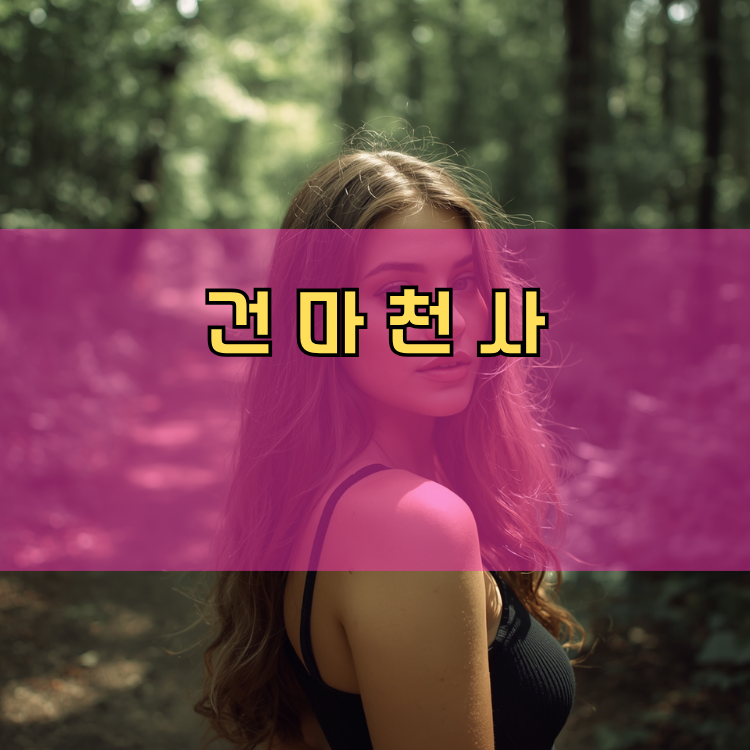 안양시 동안구 경기 지역 안내