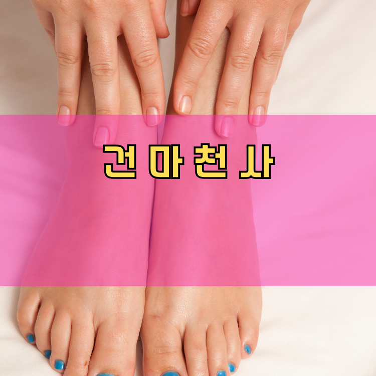 모가면 경기 지역 안내
